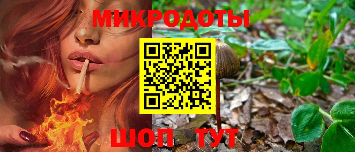 Псилоцибиновые грибы GOLDEN TEACHER  Вход с VPN  продажа наркотиков  Псилоцибиновые грибы мицелий  Карпинск 
