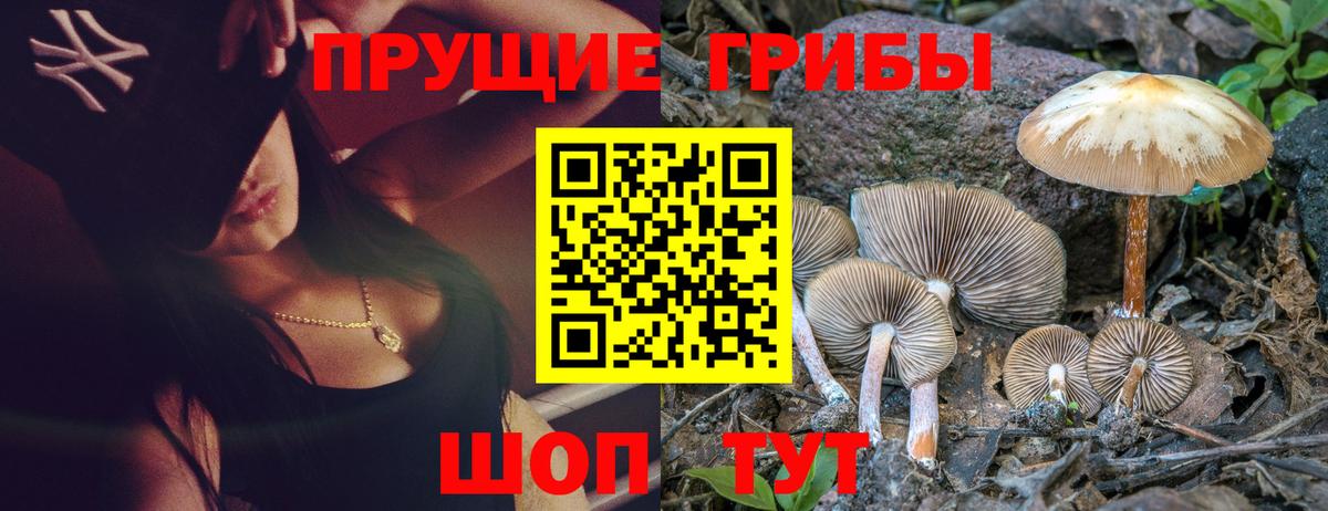 Псилоцибиновые грибы MAGIC MUSHROOMS Карпинск